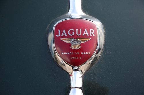 Jaguar XK140 FHC 30
